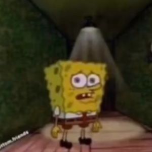 Meet your Posher, Poppie